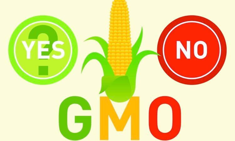 NKRUMAISM: THE AGE OF BIO-ENGINEERING…