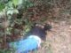 mising jhs pupil found dead