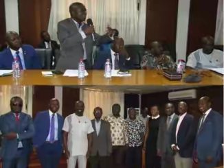 EC engages diaspora on ROPAA