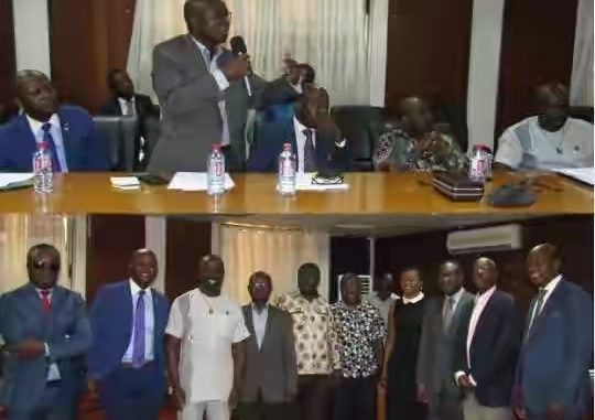 EC engages diaspora on ROPAA
