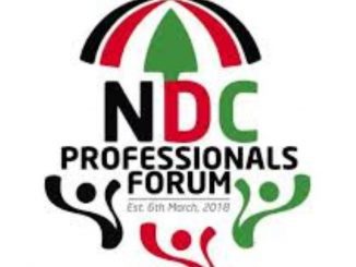 NDC Professionals Forum
