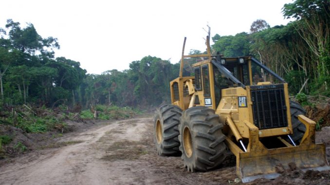 Ghana loosing forests