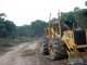 Ghana loosing forests