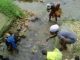 Ankobra basin contaminated